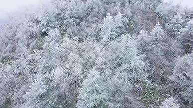 寒冷冬季森林大雪唯美景色航拍mov4K视频素材